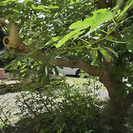 Chambre Privative Au Rez De Jardin Dans Villa La Wantzenau Exterior foto