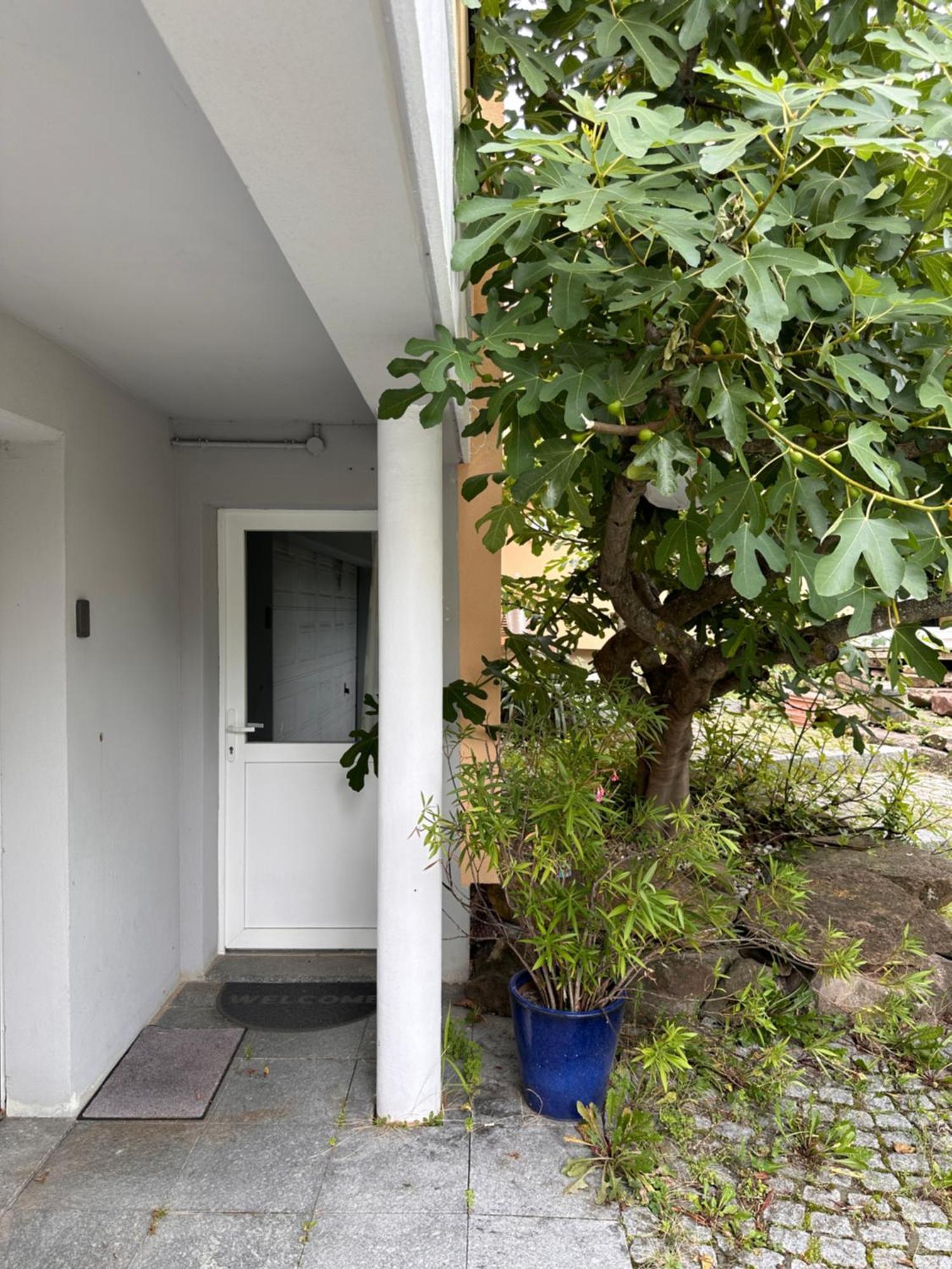 Chambre Privative Au Rez De Jardin Dans Villa La Wantzenau Exterior foto